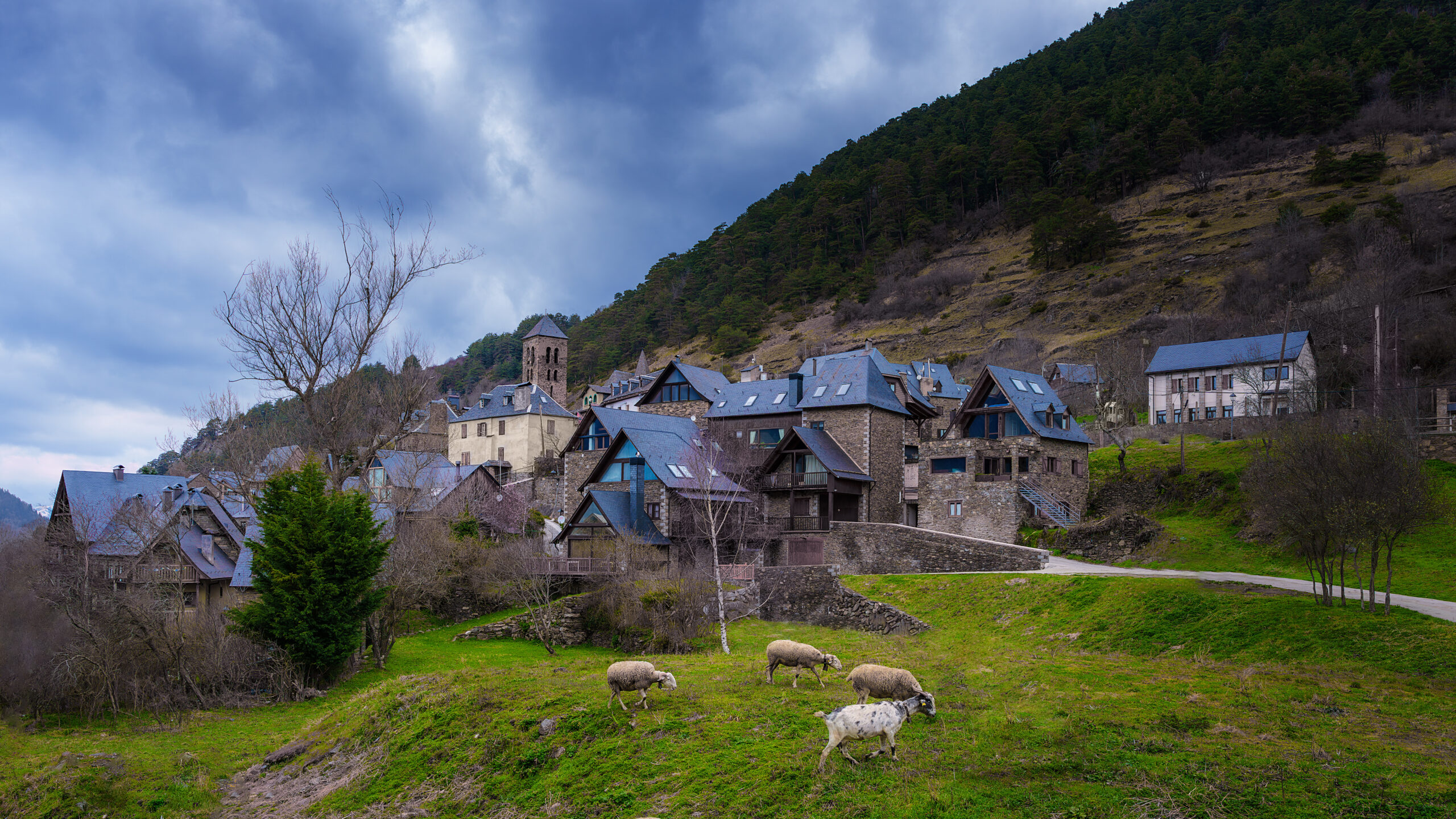 Village de Vilamos en montagne et paturages
